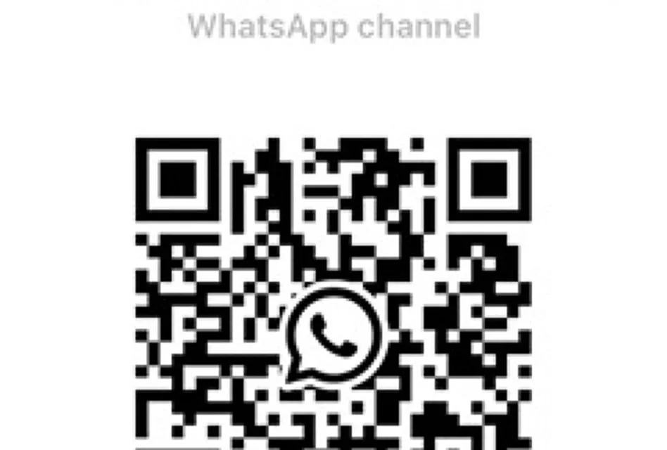 Whatsapp Channel Small