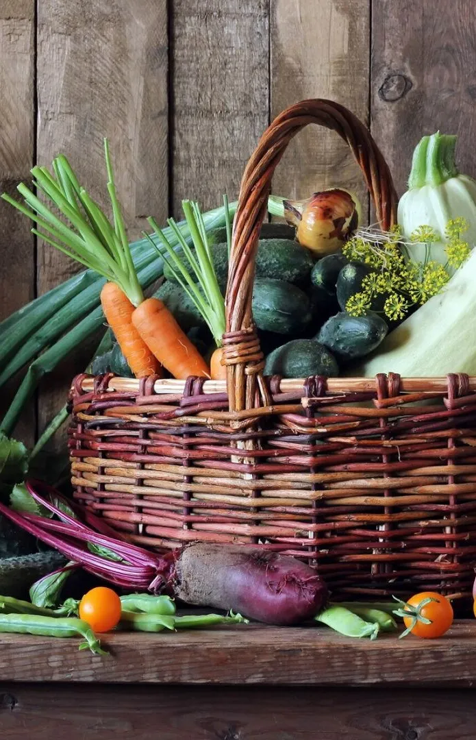Fresh vegetables in basket. The harvest, food. 