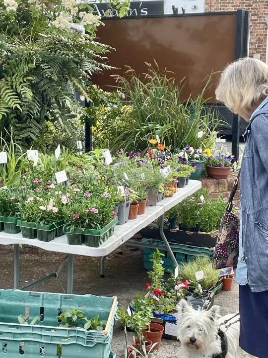 Adapt Plants