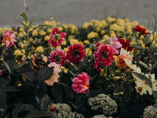 A serene garden scene with colorful flowers