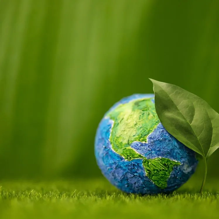 Eco Matters