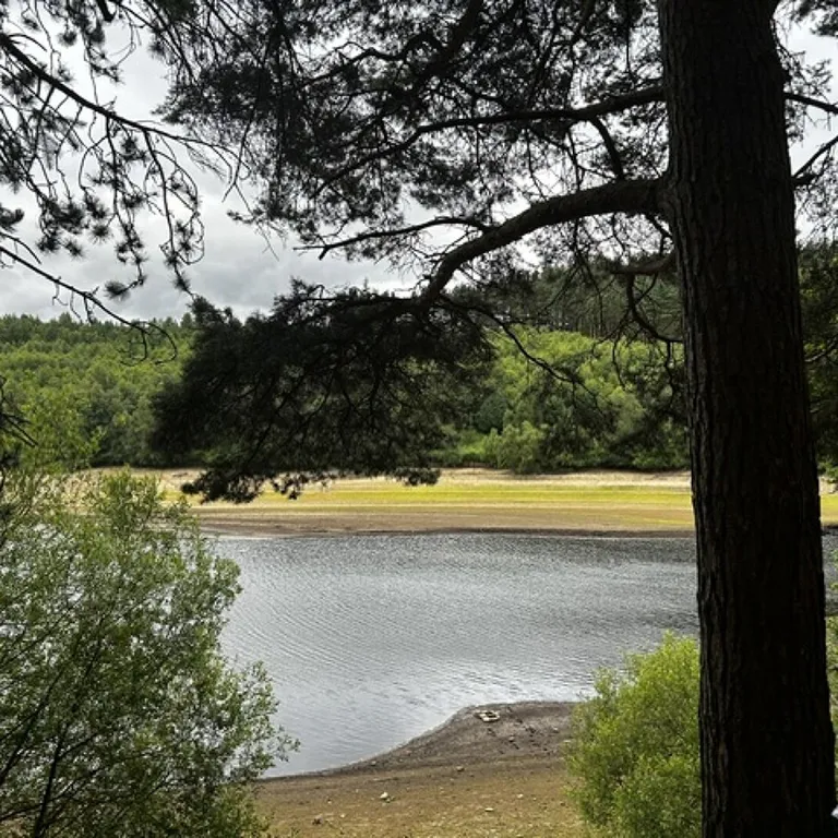 Langsett 5