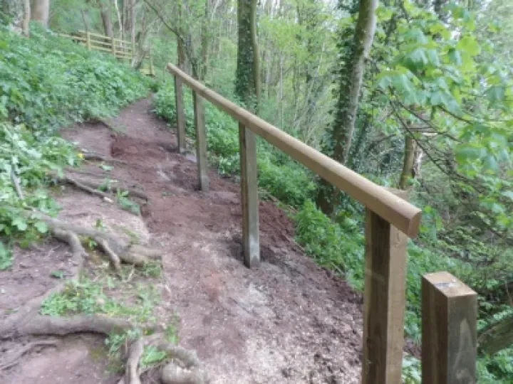 Footpath rails