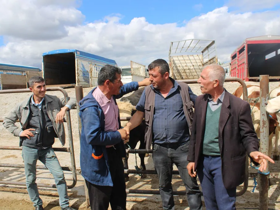 Farmers engaging in a deal at a cattle market