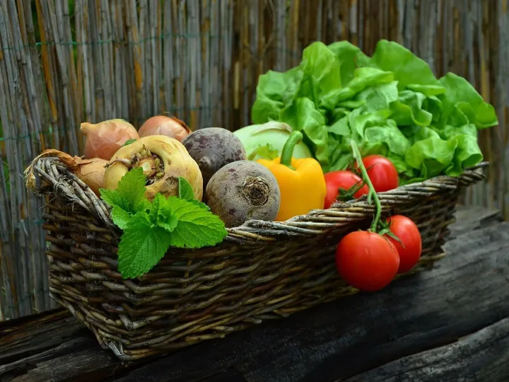 A basket of prize vegetables at the Whippleswick Produce Show
