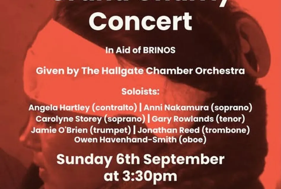 Brinos Poster