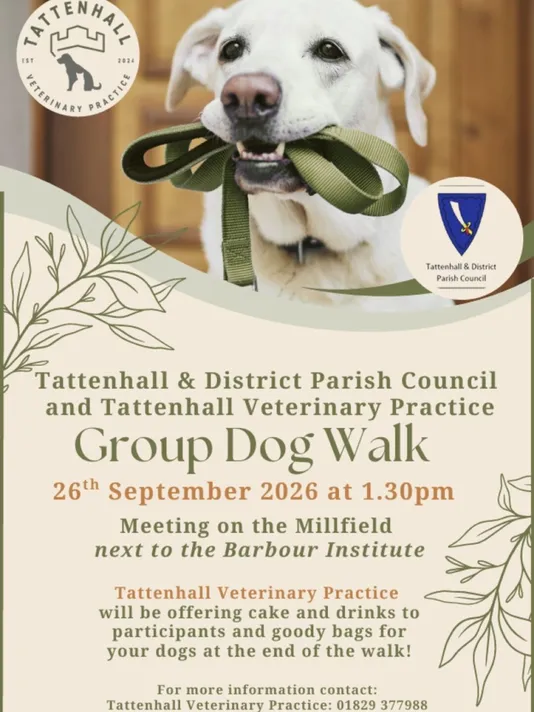 Tattenhall Annual Dog Walk