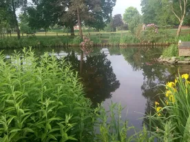 Image001