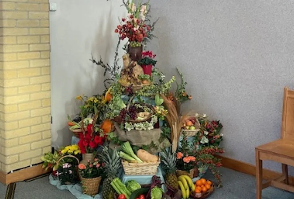 Harvest Display 1 2026