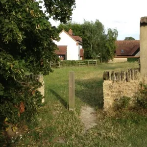 Community Orchard 02