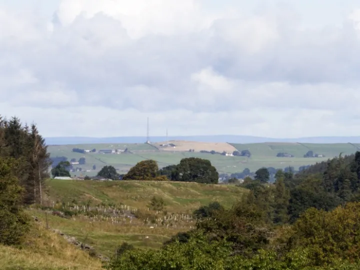 Allendale