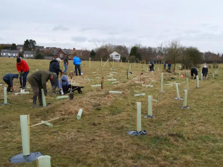 Henbury_Planting_1