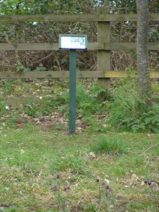 Woodland Signage (2)