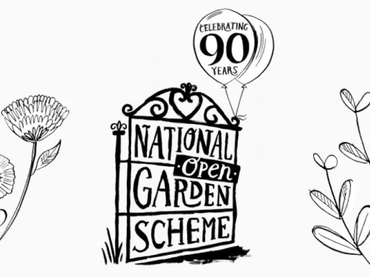 90 years ngs