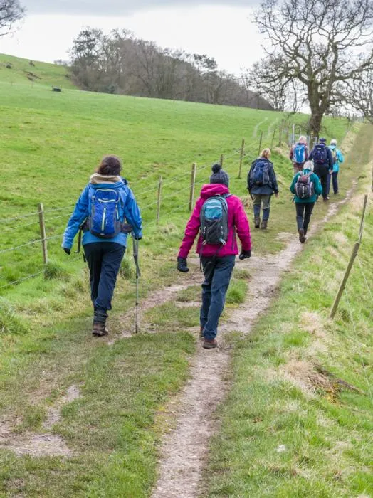 Sandstone Ridge Footpath at Kelsborrow Castle 2