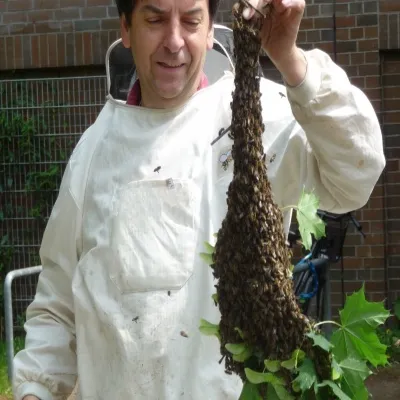 Bee Swarm & Keeper 03