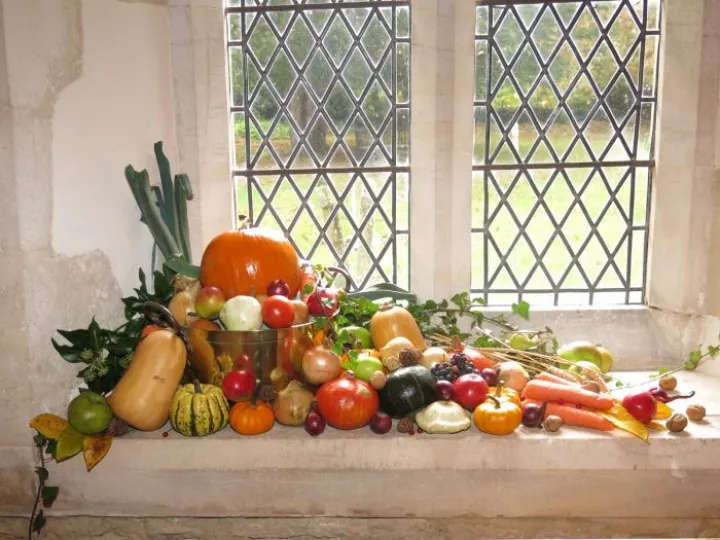Harvest Display 01