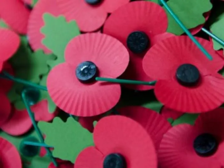 red-poppy