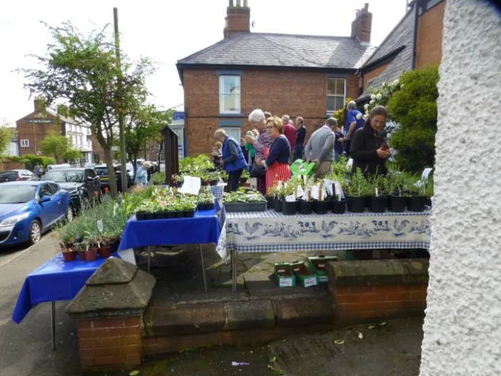 Woodland Trust Plant Sale 2018 P1080938