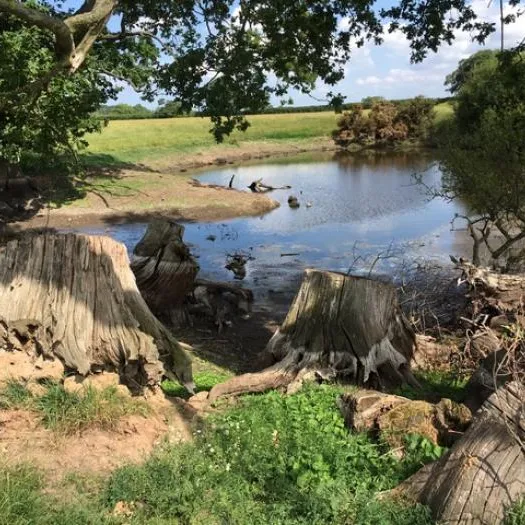 Ponds