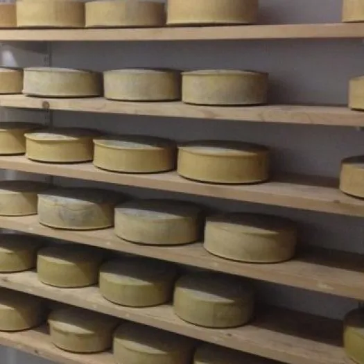 cheese 3