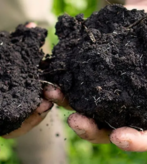 greatsoil2_HEADER