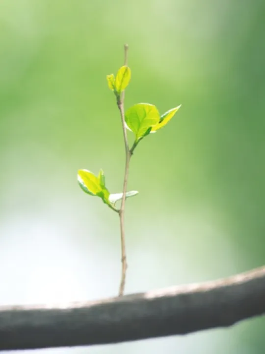 Meditation Image 01