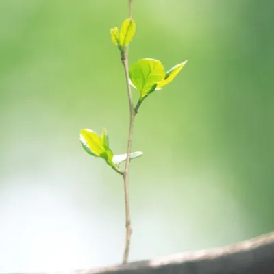 Meditation Image 01