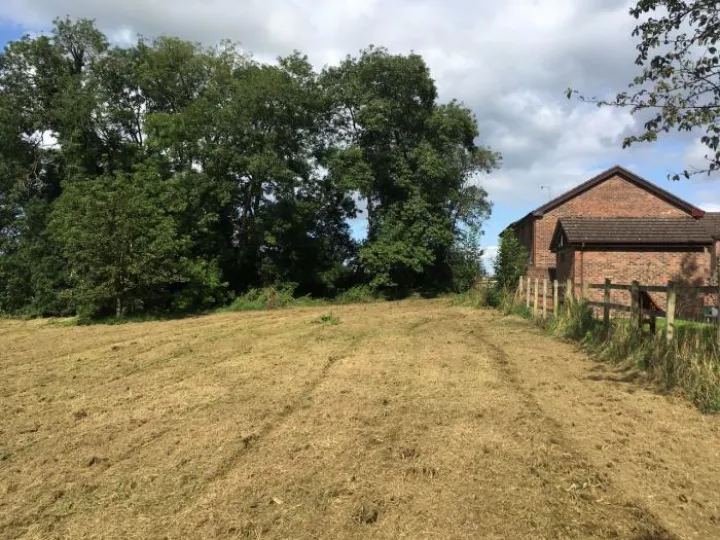 Barn Field Update
