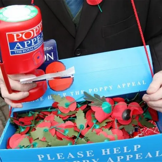 Poppy Appeal image 01