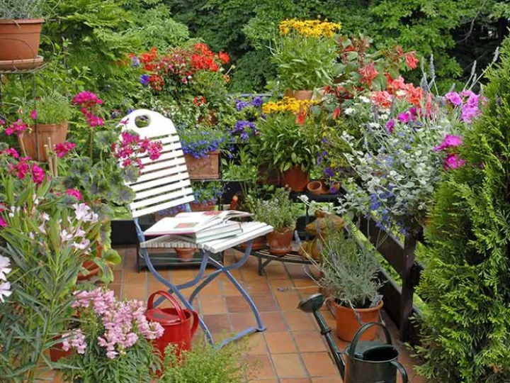 Online small garden