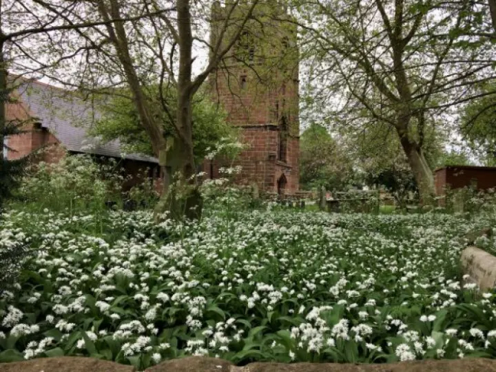 churchyard6