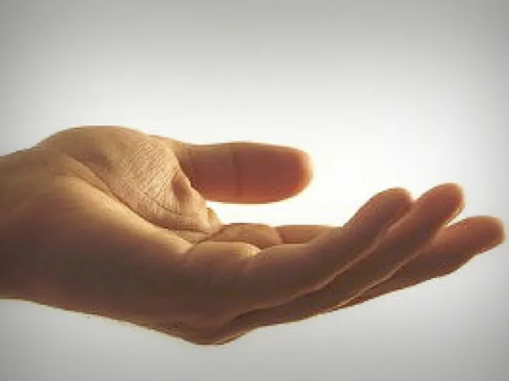 Image: 036-palm_up