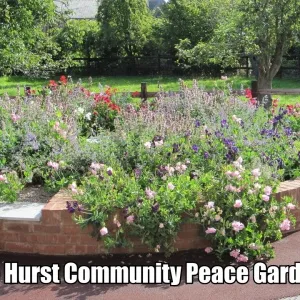 Peace garden image