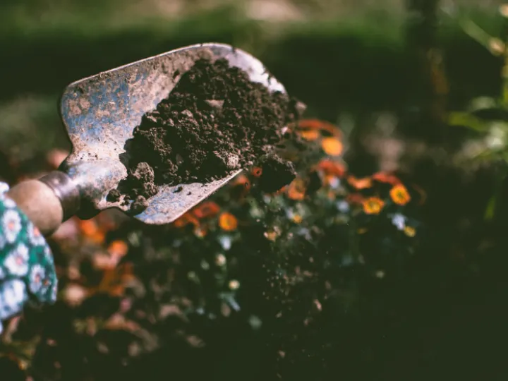 Gardening