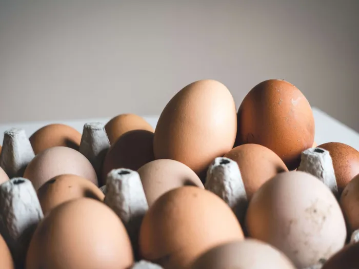 eggs, egg box