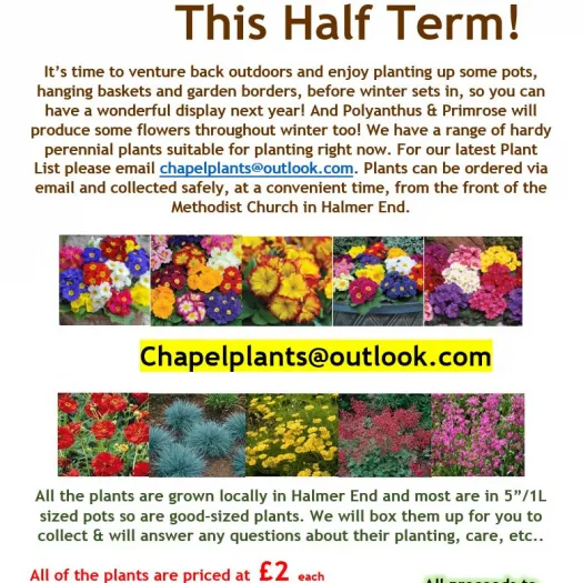 Half Term Flyer