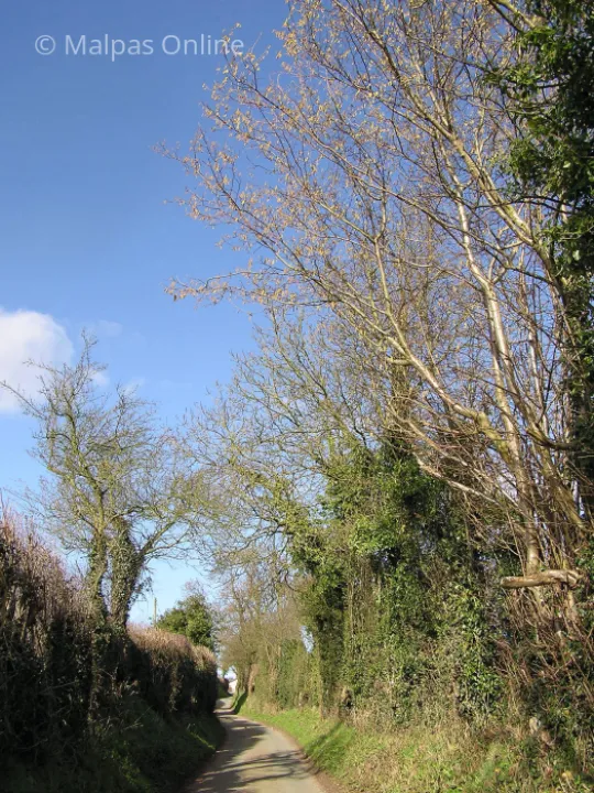 Greenway Lane