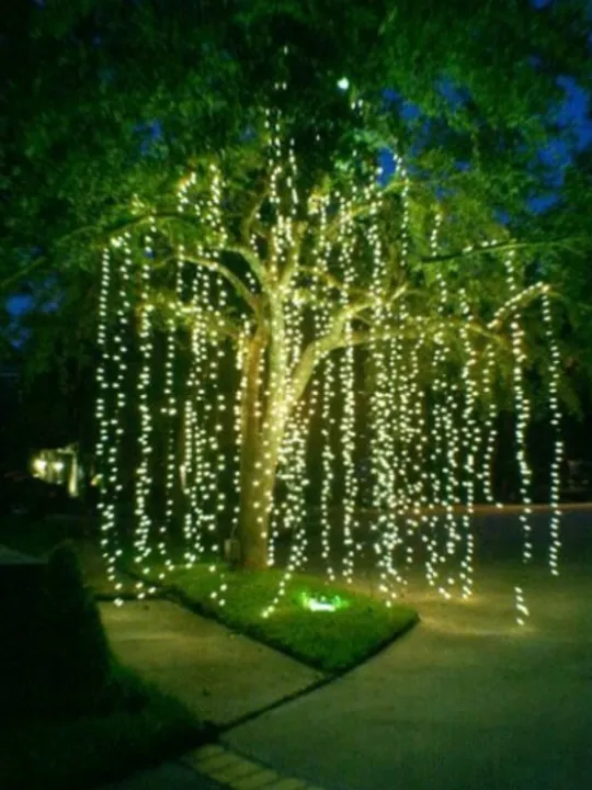 Xmas Tree Lights 02