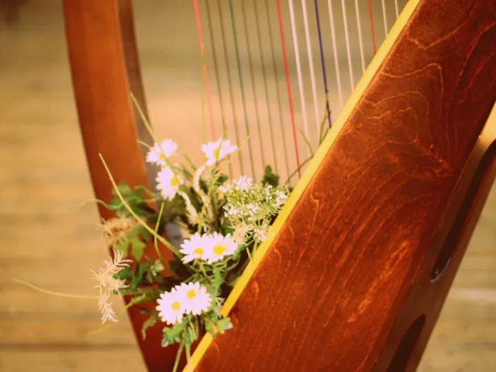 Harp
