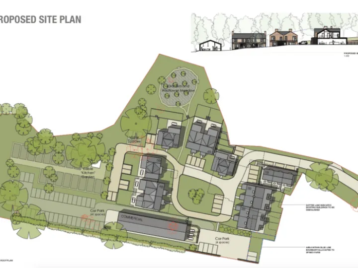Flora Devt 3