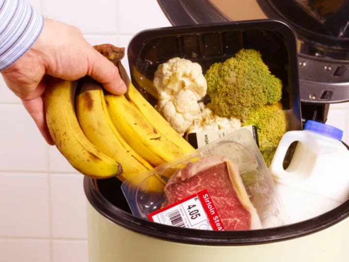 PROD-Out-of-date-food-in-garbage-bin-1