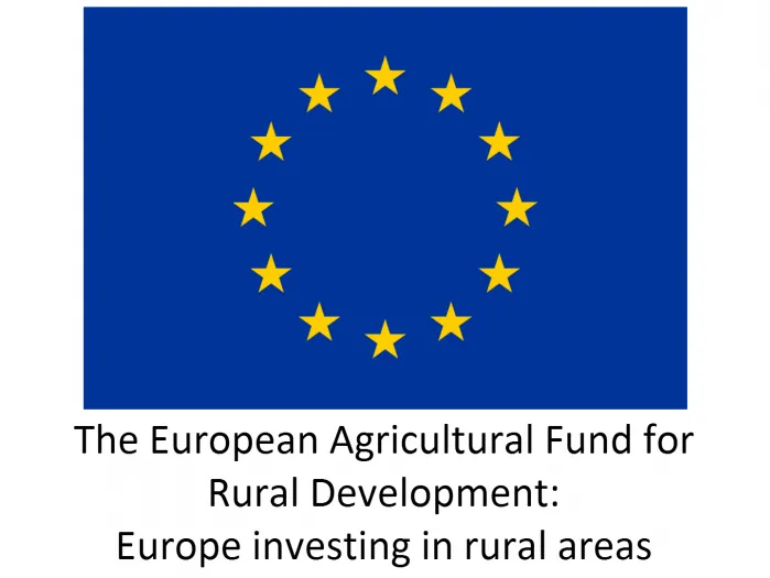 EU Funding Logo