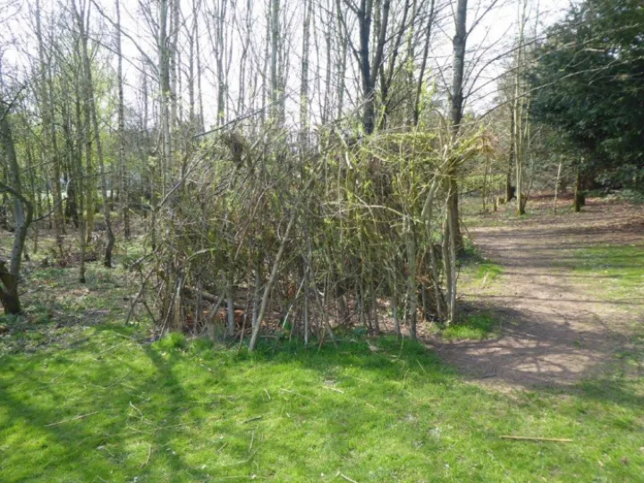 Willow House