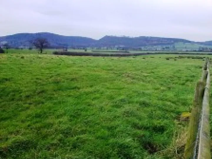 Bulkeley & Ridley   Countryside 3