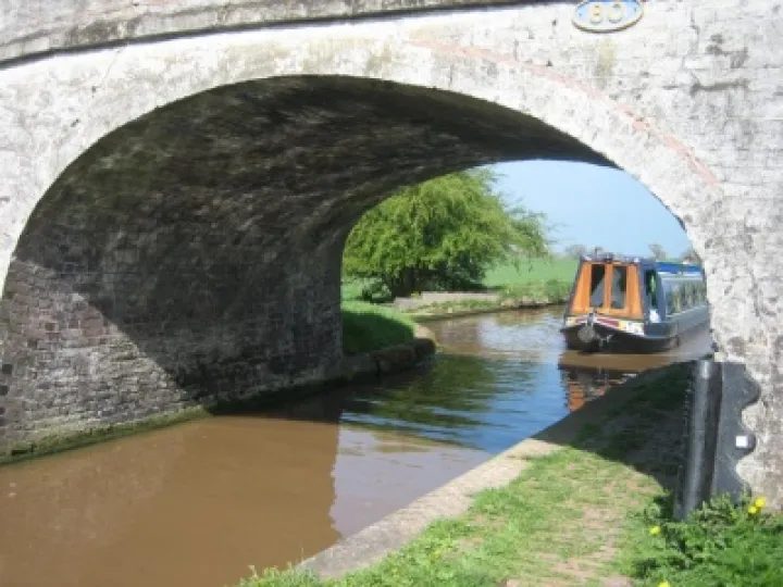 Spring on the canal