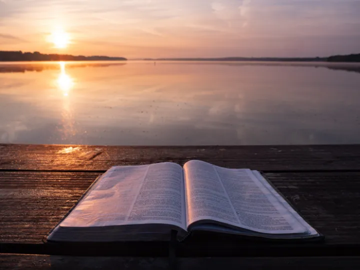 Bible study sun