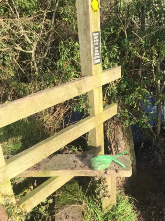 Dog Poo 2