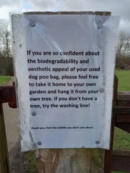dog poo