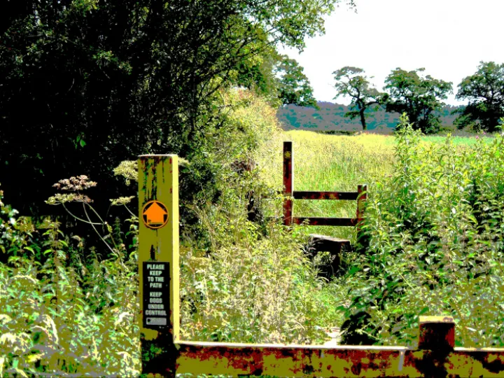 Footpath 2
